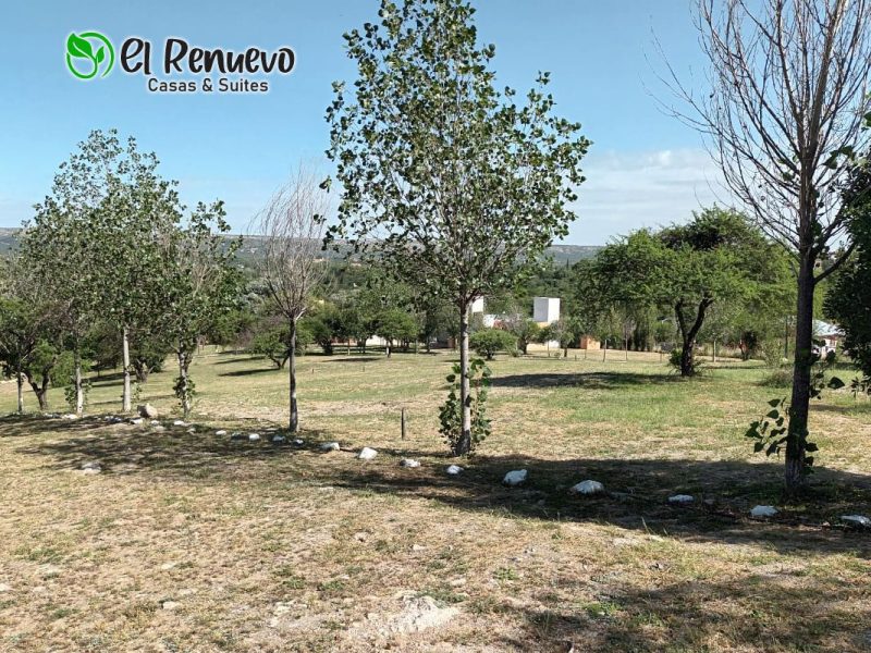 El Renuevo - Casas y Suites