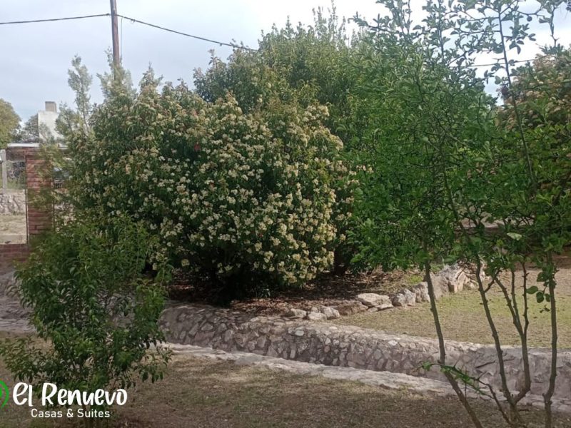 El Paraiso || El Renuevo - Casas y Suites. Locaciones temporarias. ¡Abierto todo el año!