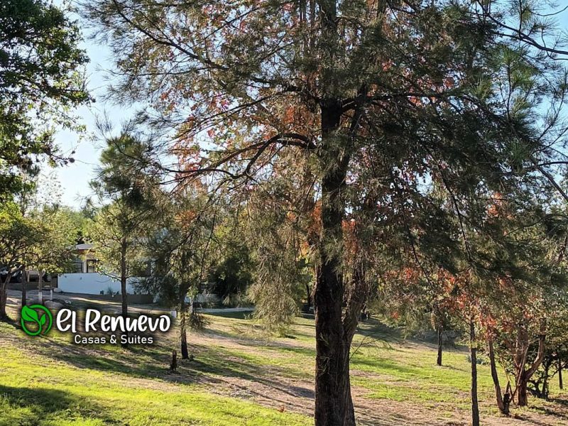 El Renuevo - Casas y Suites